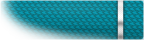 Lieutenant